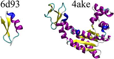 A Deep Graph Network–Enhanced Sampling Approach to Efficiently Explore the Space of Reduced Representations of Proteins